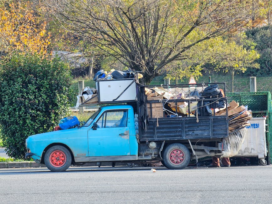 A small, light blue pickup truck with visible signs of wear and rust on the body is parked on the side of a street in front of a background of trees with green and yellow foliage. The truck's cargo ar